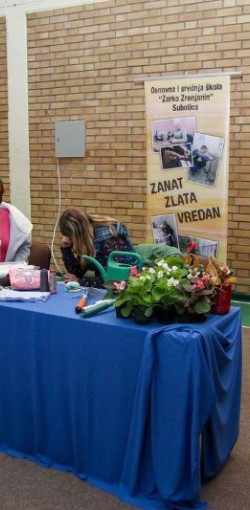 SUBOTICAcom 20Apr2016 TehnickaskolaIvanSaric 1097967