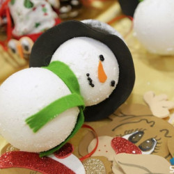 SUBOTICAcom 21Dec2016 Pravnifakultet 1145189