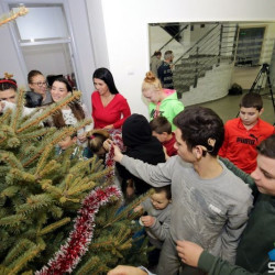 SUBOTICAcom 21Dec2016 Pravnifakultet 1145206