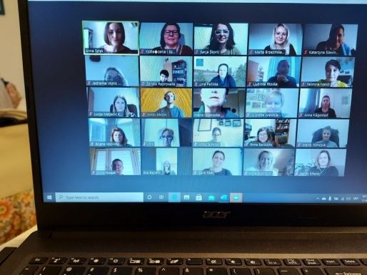 Učešće doc. dr Sanje Škorić na onlajn seminaru ”Career Paths II”